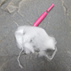 Illustration for article titled The Swiss Army Tampon: A Life-Saving Wilderness Survival Tool